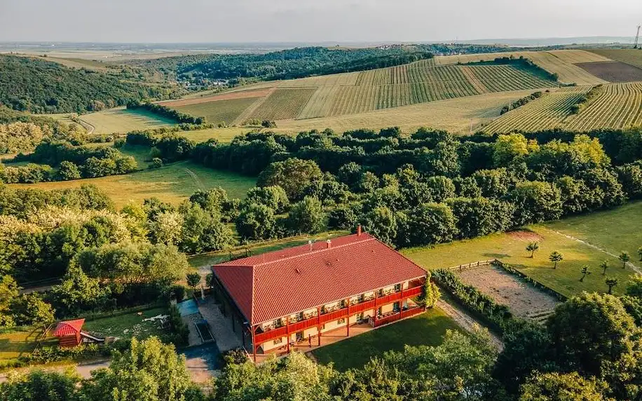 Jižní Morava: Farma Ovčí Terasy