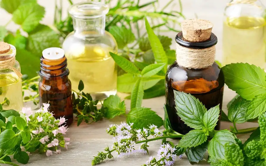 Masážní terapie zad i ramen s přírodními aroma oleji