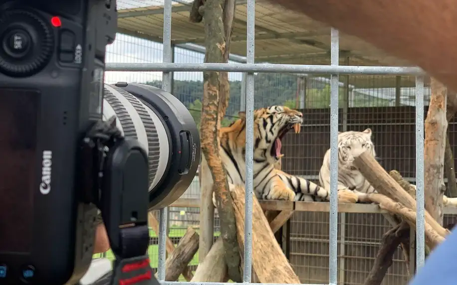 Fotografický kurz v zoo: začátečníci i pokročilí