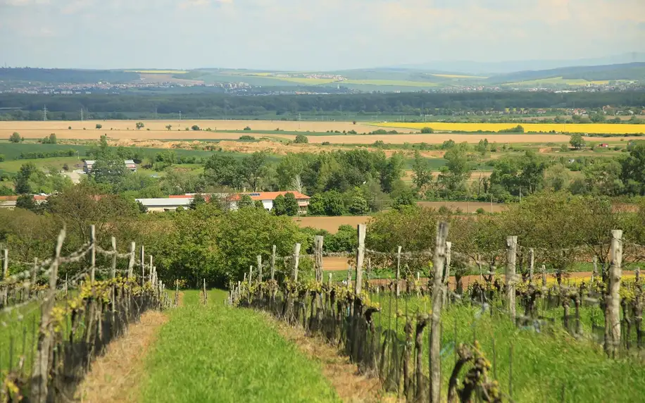 Vinařský pobyt na Slovácku včetně jídla a wellness