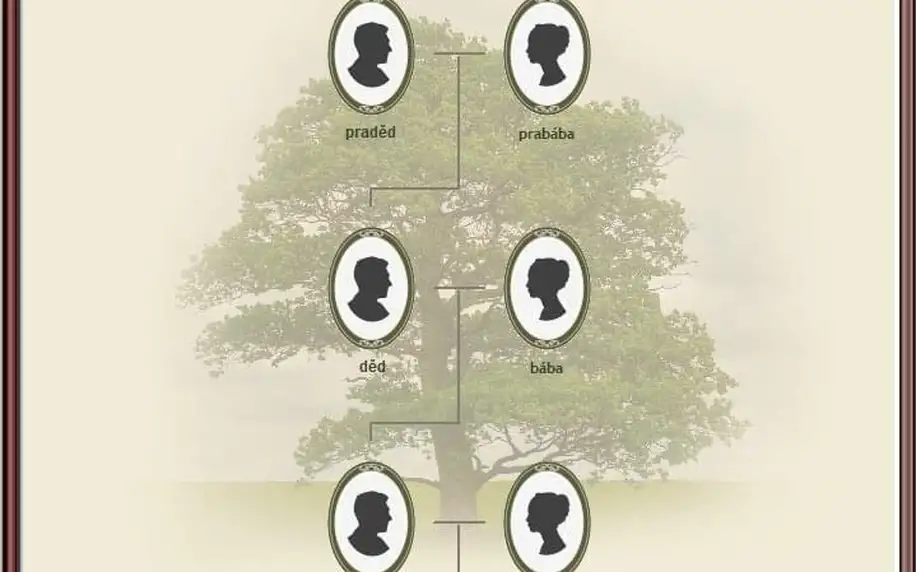 Poznejte své předky: rodokmen do 4.–5. generace