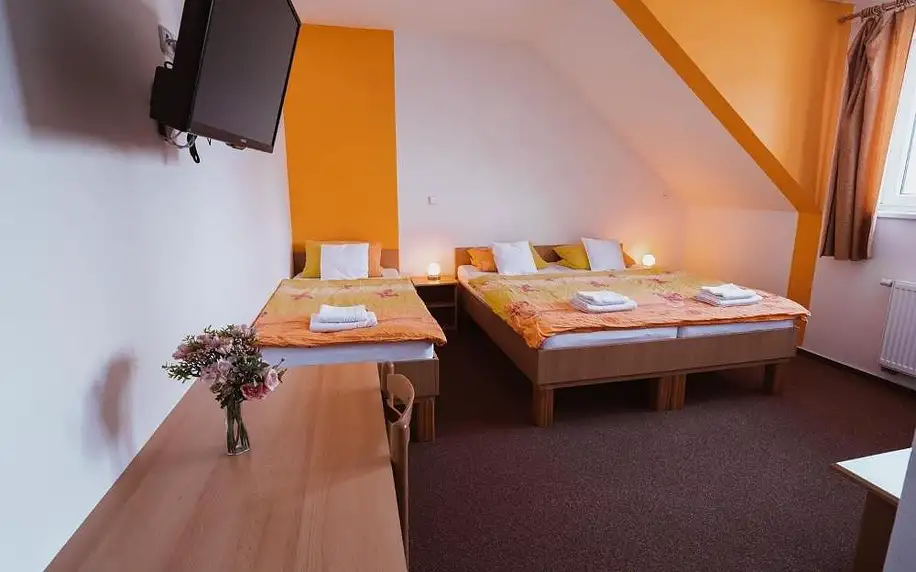Jižní Čechy: Relax Hotel Pelikán (Purkarec)