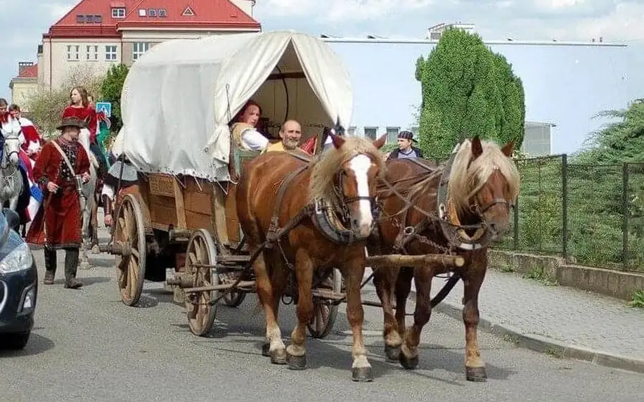 Rodinná jízda koňským povozem na Křivoklátsku