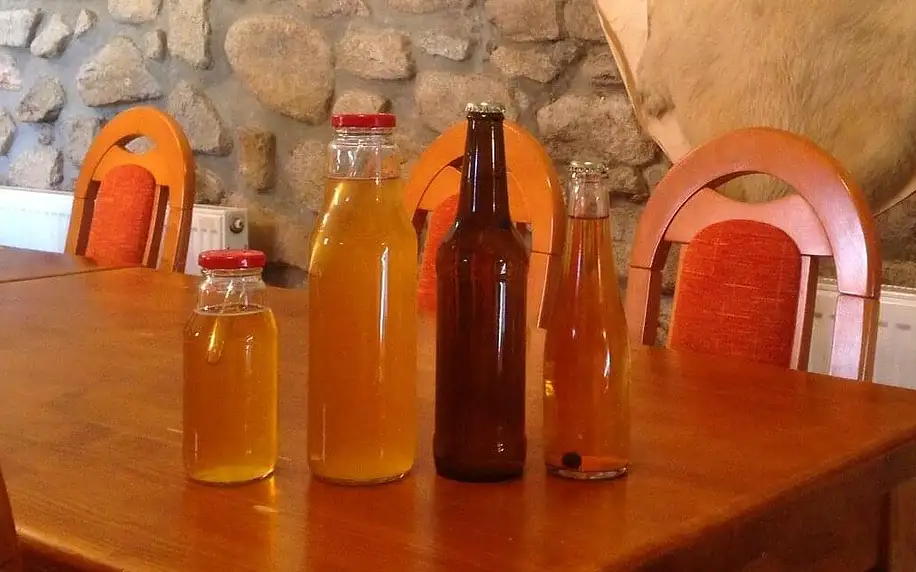 Kurz výroby cideru a 2–8 l výsledného nápoje