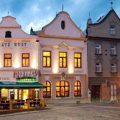 Jižní Čechy: OREA Hotel Concertino Zlatá Husa