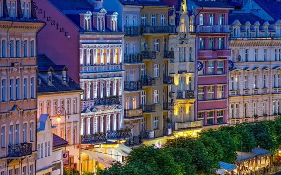Karlovy Vary naproti Mlýnské kolonádě: Hotel Salvator **** se snídaní/polopenzí, vstupem do wellness a drinkem