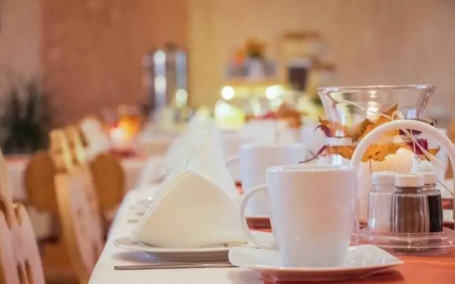 Polské Tatry u termálů v Prázdninovém domě U Staszla se snídaní, wellness (vířivka, sauna) a slevovou kartou