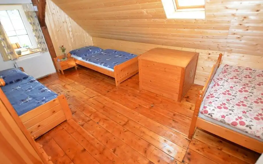 Liberecký kraj: holiday home with sauna and billiards ski slope