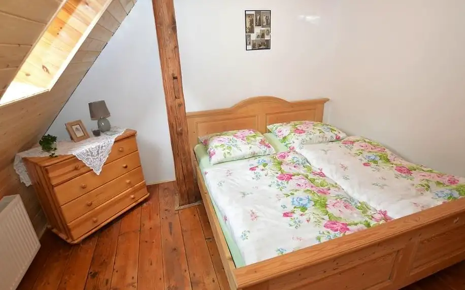 Liberecký kraj: Comfortable holiday home with sauna and billiards ski slope 2 km