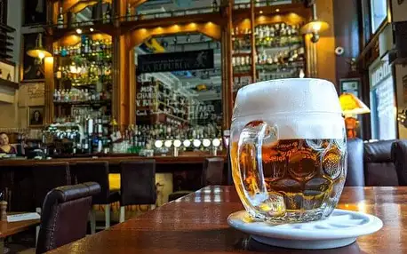 Plzeň: Hotel Ibis *** s prohlídkou pivovaru Pilsner Urquell či vinařství Bohemia sekt s degustacií + polopenze