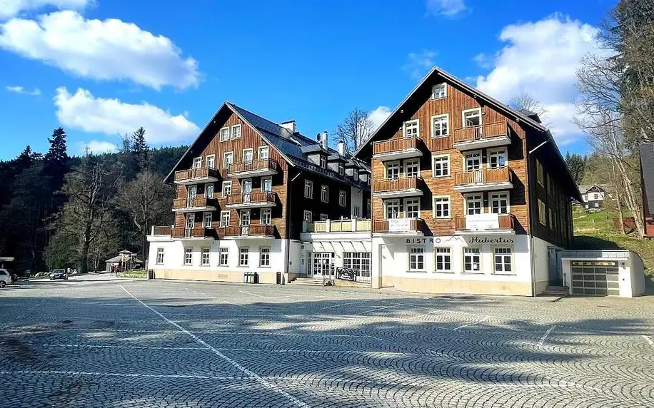 Lázeňská obec Karlova Studánka: Apartmán Hubertus No. 17