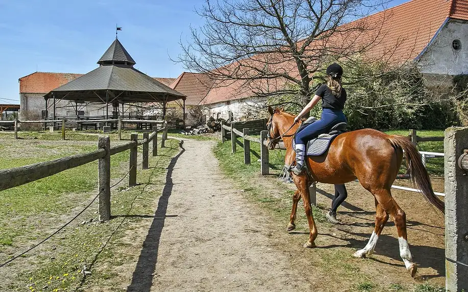 Farma u Znojma: strava i projížďka na koni či v kočáře