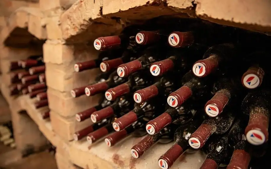 Hodonín, Jihomoravský kraj: Vinný sklep Kovárna