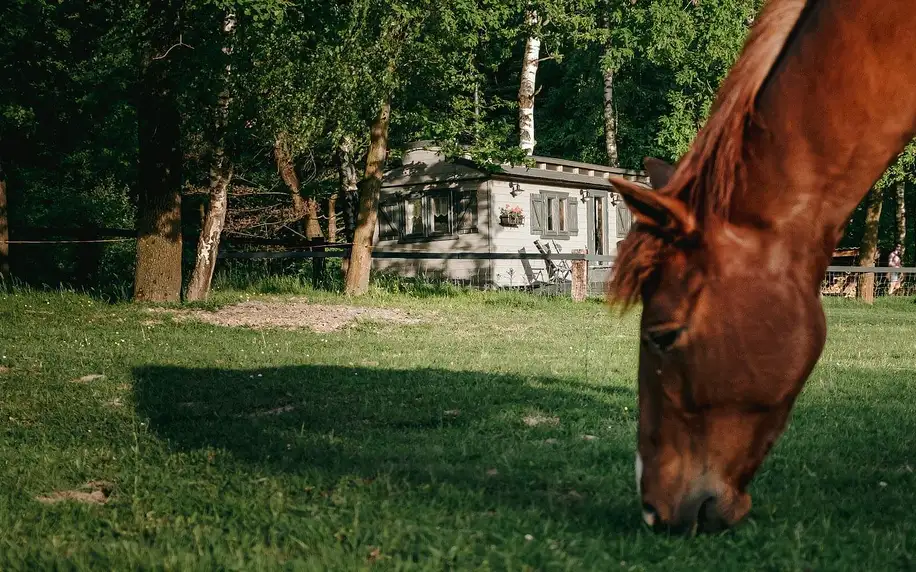 Chata na ranči v Beskydech: soukromí a výhled na koně