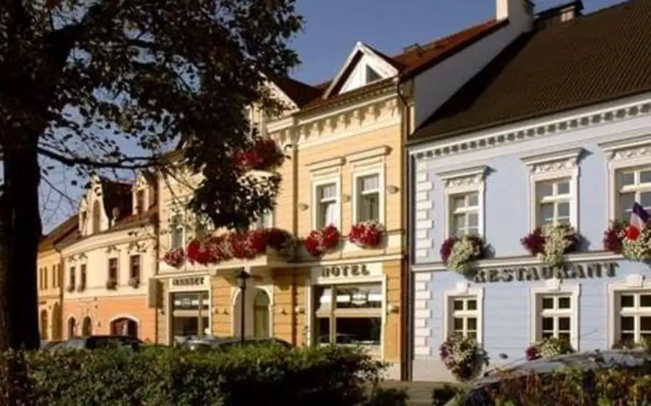 Plzeňsko: Hotel Restaurant Modrá Hvězda