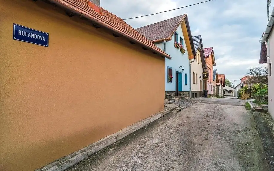 Jihomoravský kraj: Vinný sklep Vinoza Velké Bílovice