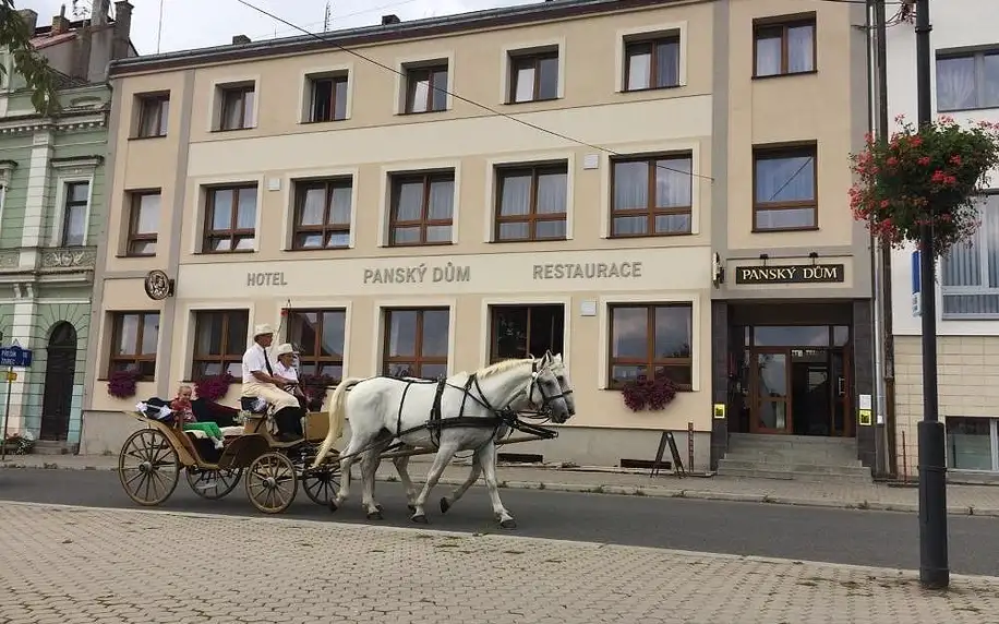 Plzeňsko: Hotel Panský dům - Blovice