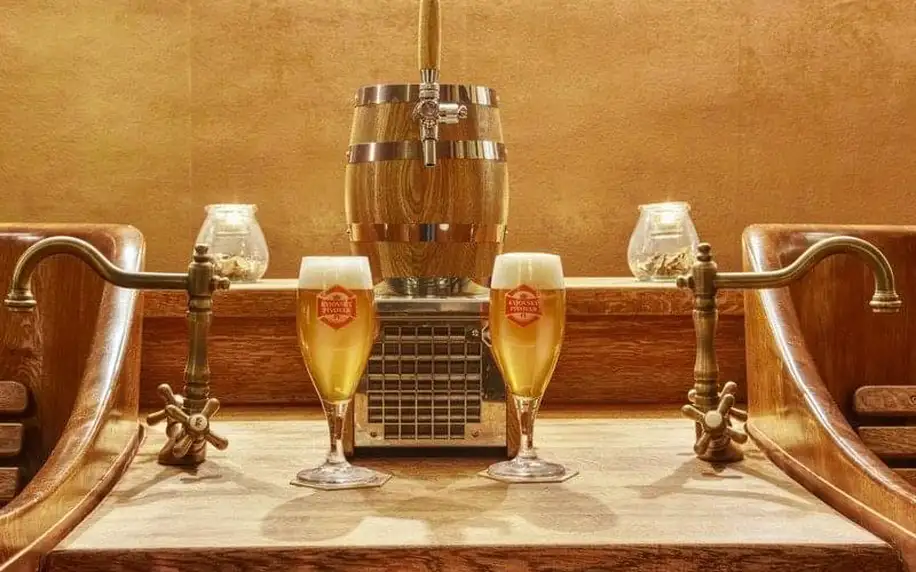 Pobyt v hotelu Kyjovský pivovar