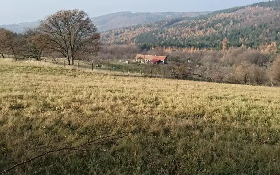 Zlínský kraj: Chalupa na samotě u lesa