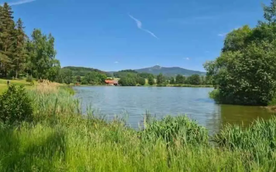 Liberecký kraj: Chata u rybníka - Chrastná
