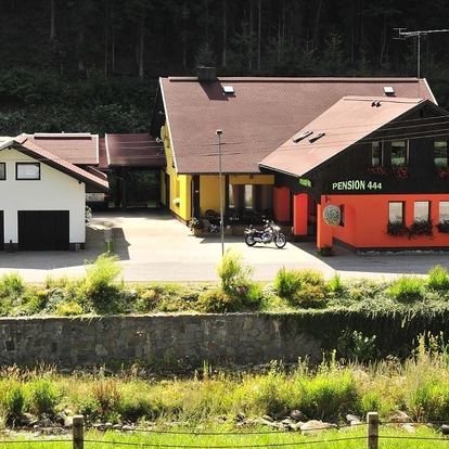 Krkonoše: Pension 444 - Ski Resort Herlikovice and Bubakov