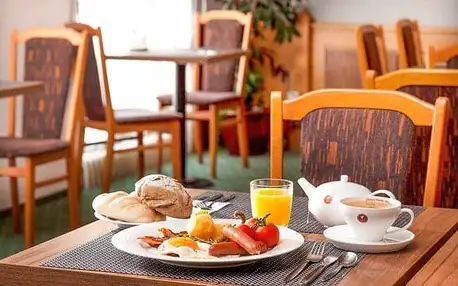 Jindřichův Hradec: Hotel Concertino - Zlatá Husa **** se snídaněmi, večeří, privátní saunou a 20% slevami