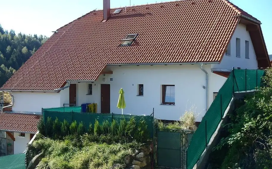 Kašperské Hory, Plzeňský kraj: Apartmány Fialka