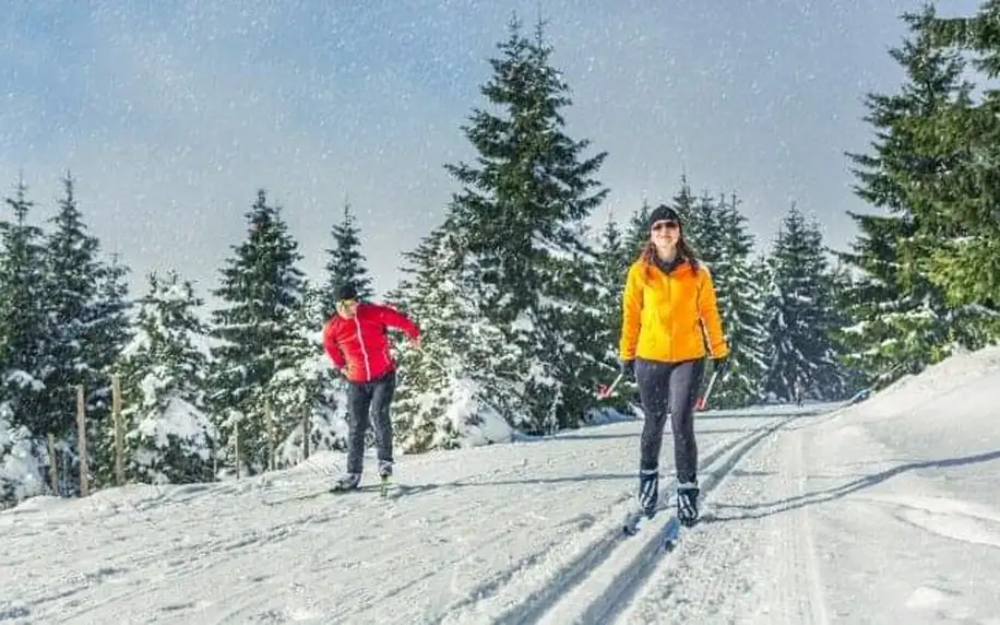 Jižní Čechy pár kroků od Lipna a 1 km od aquaparku v Penzionu N.10 Frymburk *** se snídaní či polopenzí