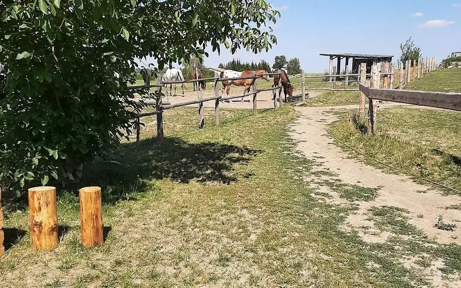 Olomoucký kraj: Ubytování na rodinném ranči
