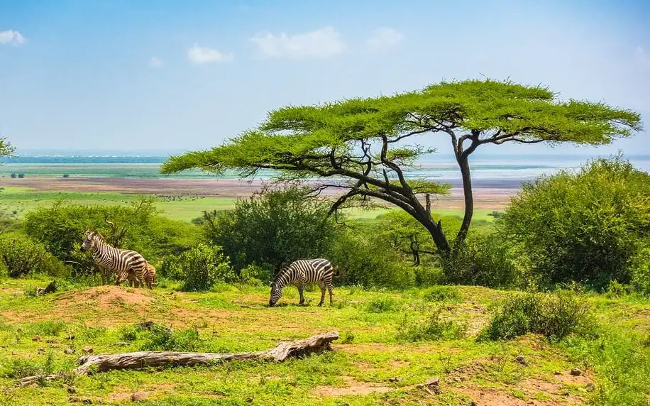Safari v Tanzanii a exotický Zanzibar