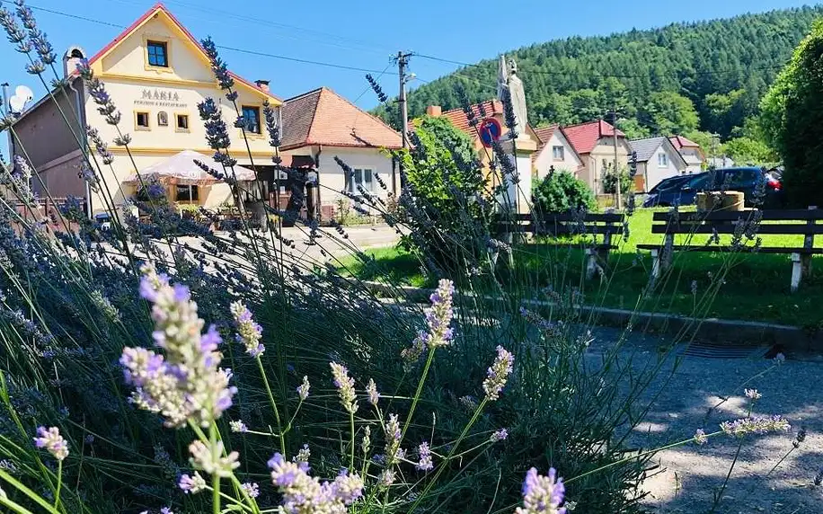 Trenčín: Maria Penzion & Restaurant