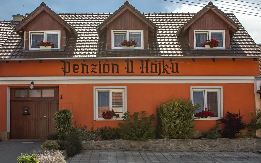 Penzion s vnitřním bazénem v malebné vinařské obci