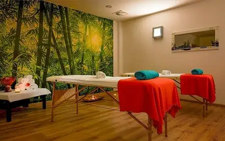 České Švýcarsko ve Wellness Hotelu Lužan **** s polopenzí, 3 procedurami a vstupem do sauny a fitness