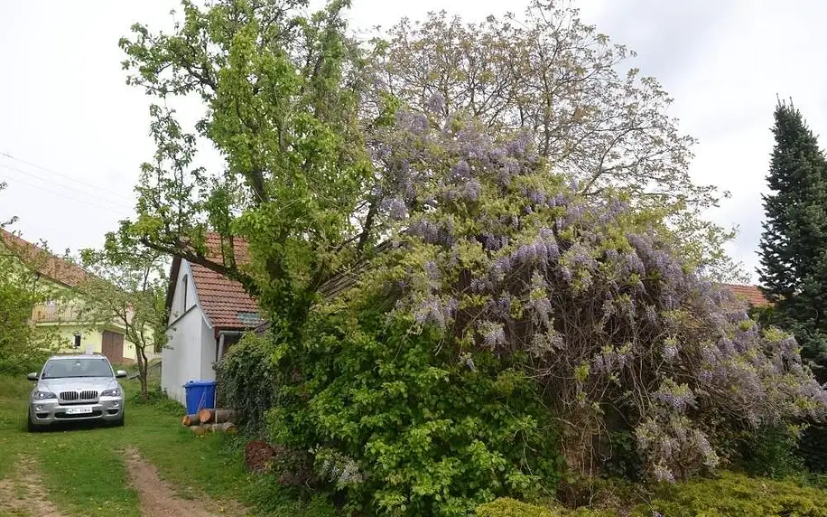 Kraj Vysočina: Holiday Home U Černých Ovcí