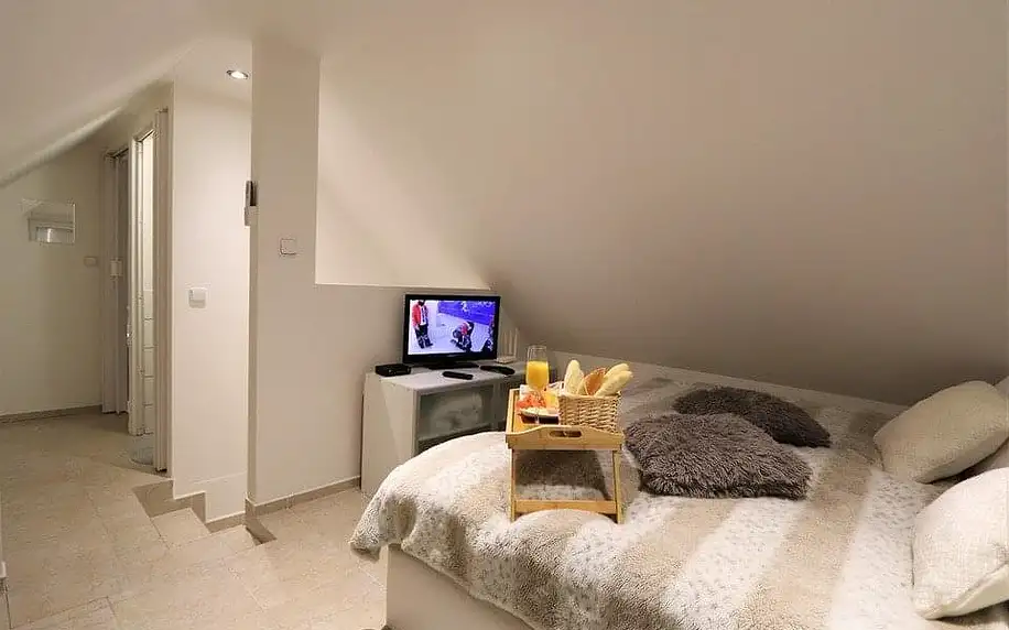 Pobyt v moderním apartmánu Sklípek Emilka v jihomoravských Mutěnicích na 1 noc