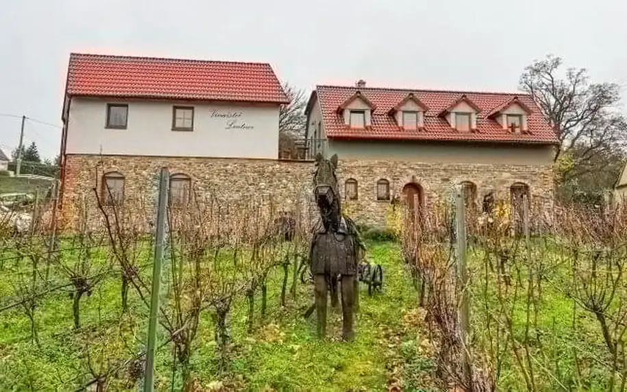 Vinařský pobyt na jižní Moravě u Znojma ve Vinařství Lintner s řízenou degustací, občerstvením a snídaněmi