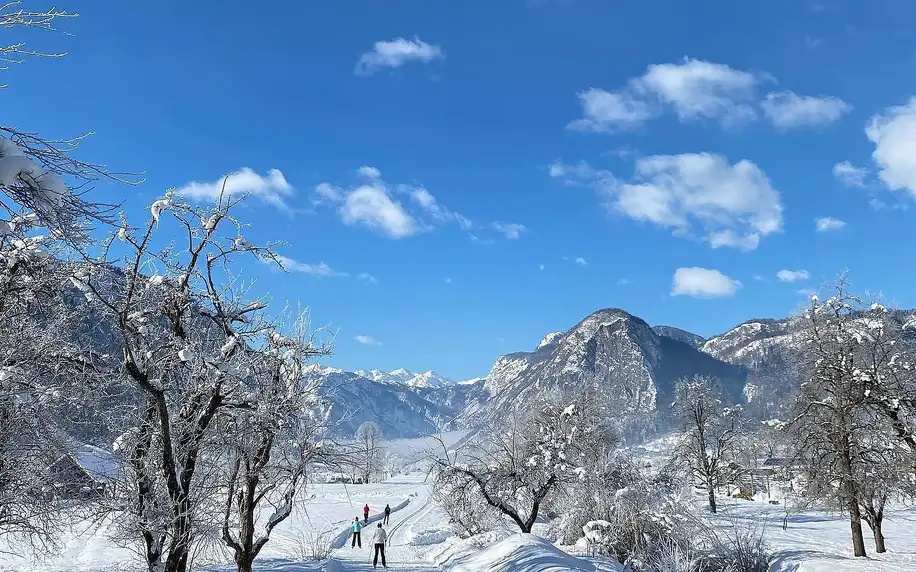 Pobyt ve slovinských Alpách: bazén, strava a lyžování