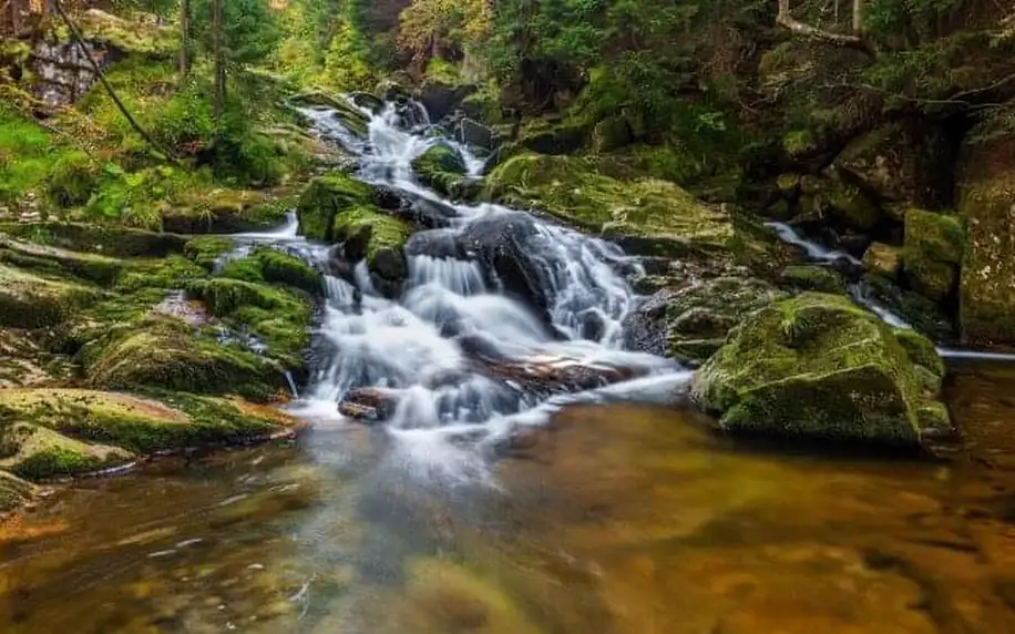 Krkonoše: Dovolená v Parkhotelu Harrachov *** se slevovou Harrachov Card a polopenzí + pivo a víno k večeři