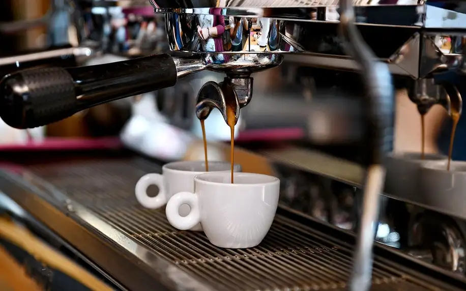 Kurzy pro milovníky kávy: 6,5 hod. základů i latte art