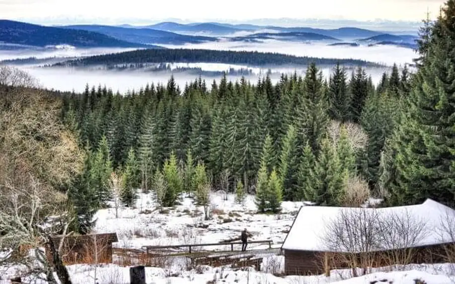 Klatovy – vstupní brána Šumavy v Hotelu Centrál *** s neomezeným wellness (2 bazény, 2 sauny) a snídaní