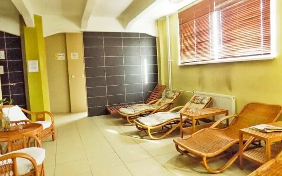 Hotel S-centrum Děčín **** se snídaní/polopenzí, relaxací v sauně a vstupenkami na zámek a do zoo + sekt