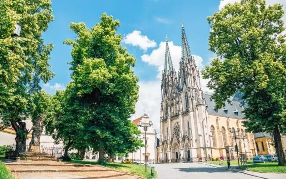 Pobyt jen 800 m od centra Olomouce v Hotelu Lafayette *** se snídaní formou bufetu a slevou na Region Card