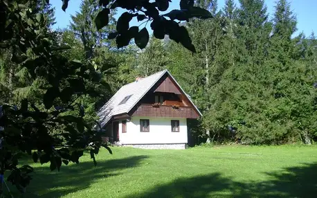 Slovinsko - Bohinj: Apartments Lake Bohinj