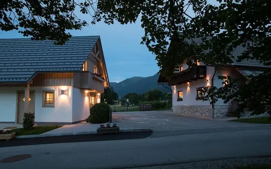 Slovinsko - Bohinj: Apartments Alp