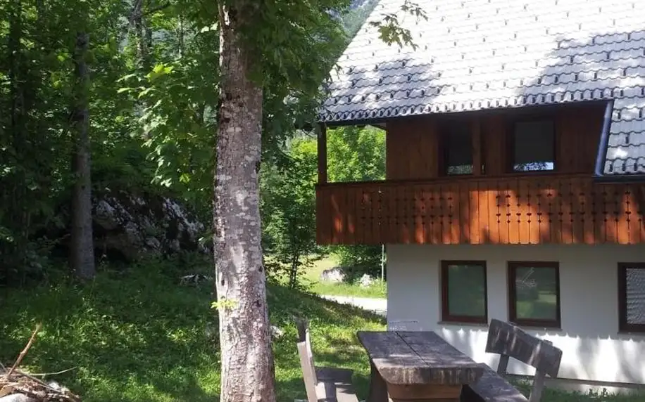 Slovinsko - Bohinj: Apartments Lake Bohinj