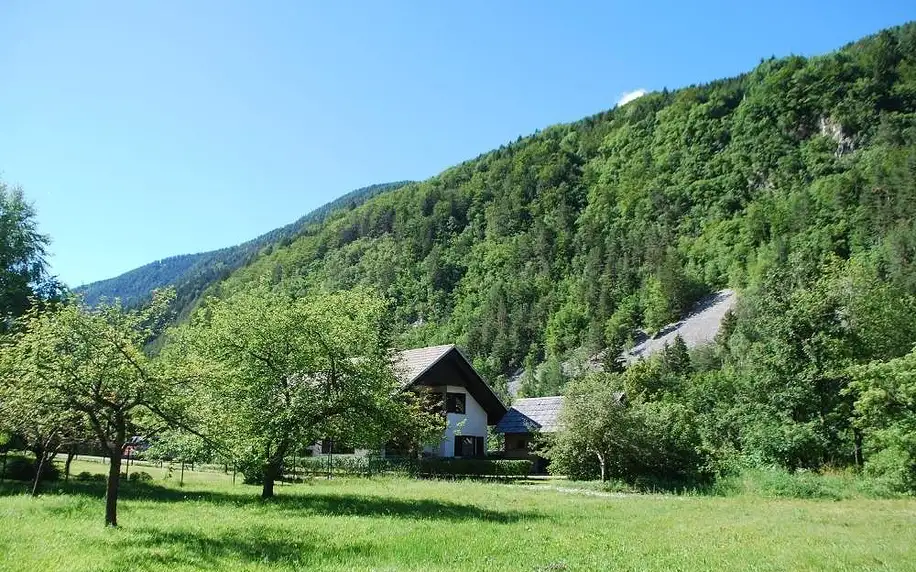 Slovinsko - Triglavský národní park: Apartments Trata