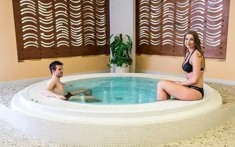 Morava v Hotelu Jana **** s neomezeným wellness (bazén, vířivka, 3 sauny, 2 páry) a polopenzí/all inclusive