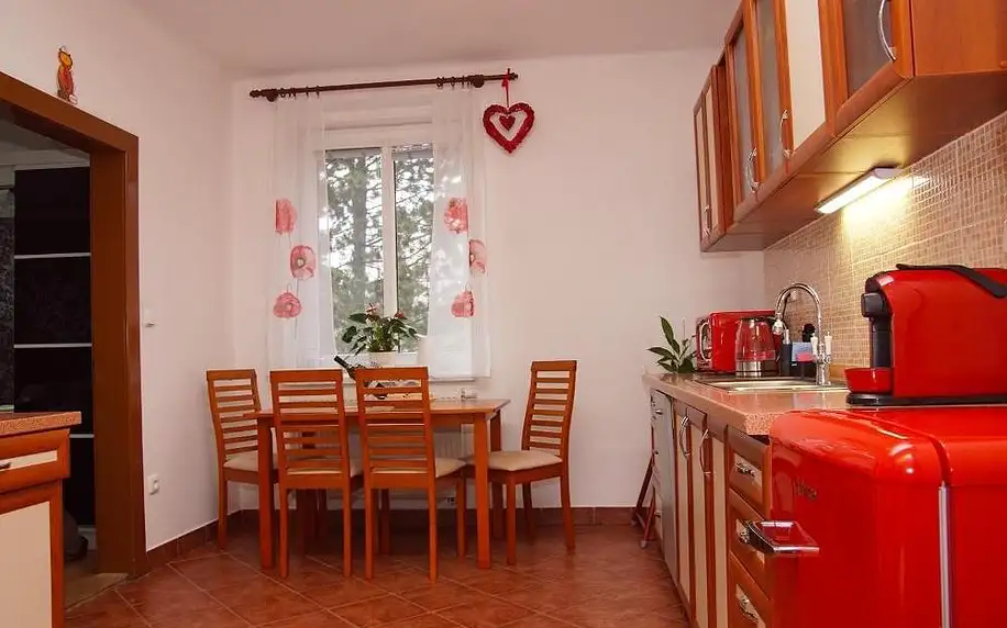 Nové Město na Moravě: Luxusní Apartmán NMNM Family