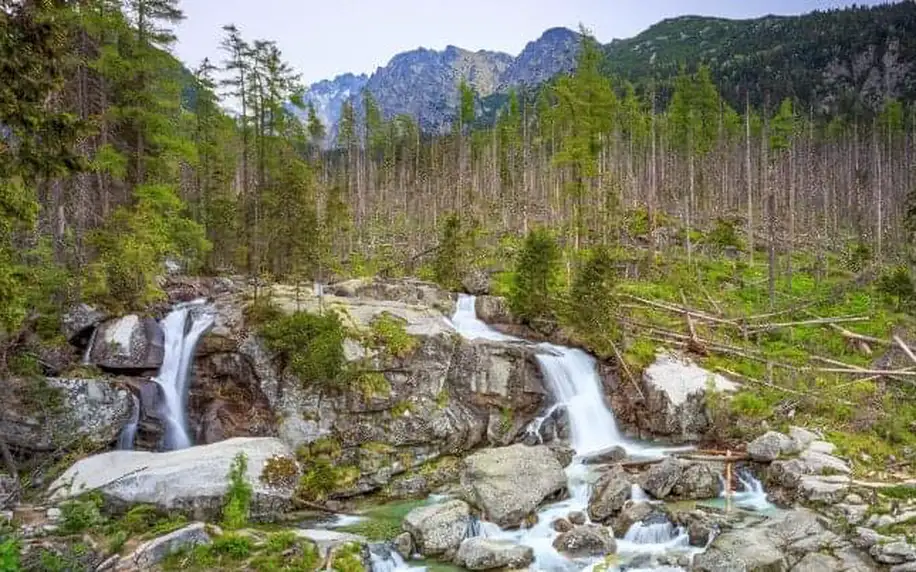 Vysoké Tatry u Lomnického štítu v Hotelu Tatranec s polopenzí, vstupem do sauny a slevou do AquaCity Poprad