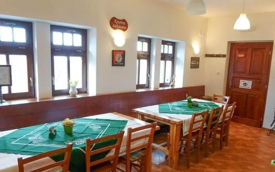 Pobyt nedaleko ZOO Dvůr Králové v Penzionu Pod Vyhlídkou se snídaní, infrasaunou a lahví vína + stolní tenis